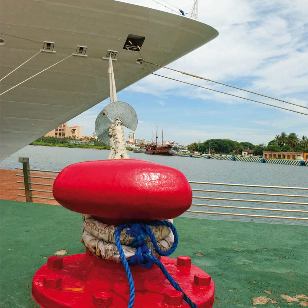 PGC0300103_(K02)