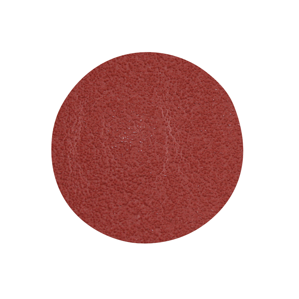 PGC0600200_500656_Cubitron_II_Flexi-Disc_(P)