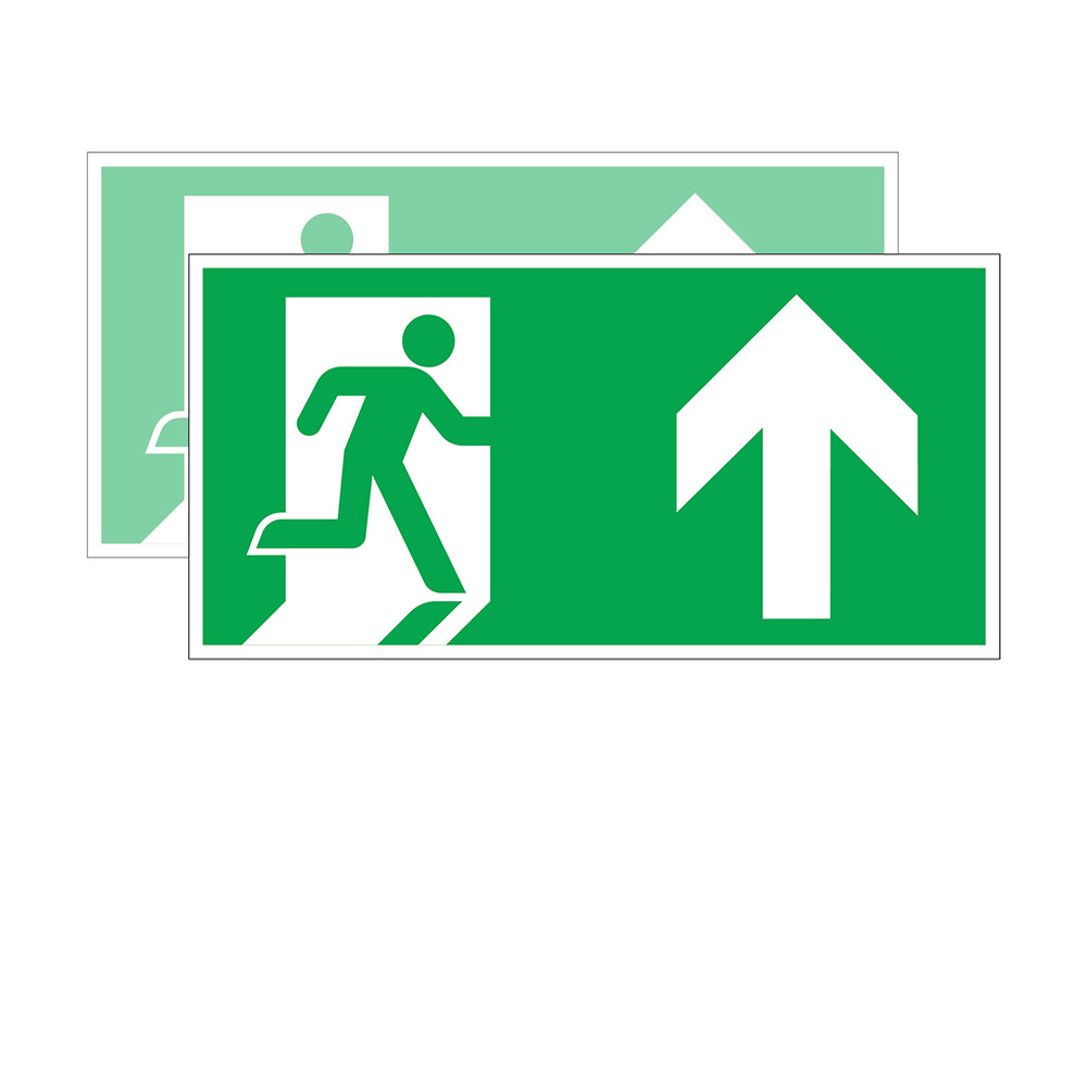 PGC1200205_732025_Piktogramm_LED-Fluchtwegleuchte_(P)