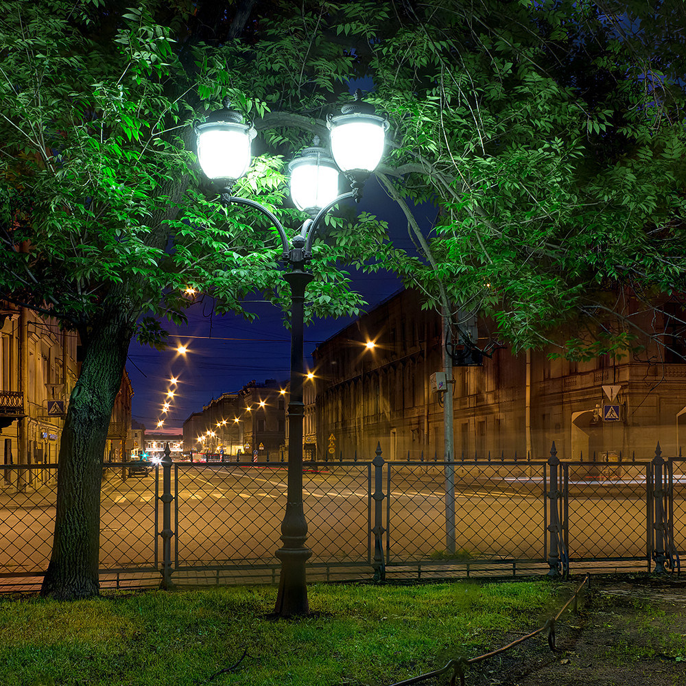 PGC1200304_(K02)