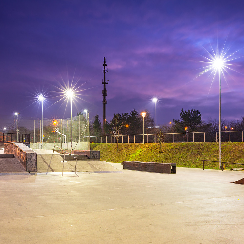 PGC1200303_(K02)